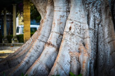 İspanyol şehirlerinin tarihi sokaklarında soyut duvar tasarımı 