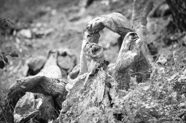 İspanyol şehirlerinin tarihi sokaklarında soyut duvar tasarımı 