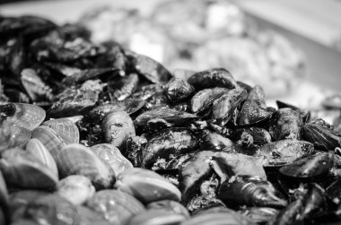 Balık pazarında taze deniz ürünleri - ahtapot, kabuk, istiridye, karides, kalamar, balık 