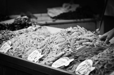 Balık pazarında taze deniz ürünleri - ahtapot, kabuk, istiridye, karides, kalamar, balık 