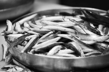 Balık pazarında taze deniz ürünleri - ahtapot, kabuk, istiridye, karides, kalamar, balık 