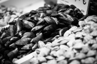 Balık pazarında taze deniz ürünleri - ahtapot, kabuk, istiridye, karides, kalamar, balık 