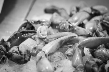 Balık pazarında taze deniz ürünleri - ahtapot, kabuk, istiridye, karides, kalamar, balık 