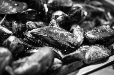 Balık pazarında taze deniz ürünleri - ahtapot, kabuk, istiridye, karides, kalamar, balık 