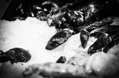 Balık pazarında taze deniz ürünleri - ahtapot, kabuk, istiridye, karides, kalamar, balık 