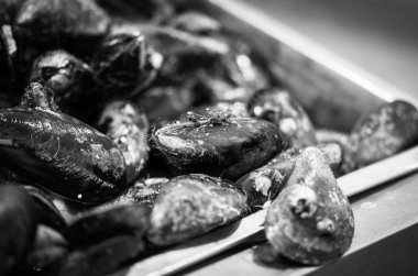 Balık pazarında taze deniz ürünleri - ahtapot, kabuk, istiridye, karides, kalamar, balık 