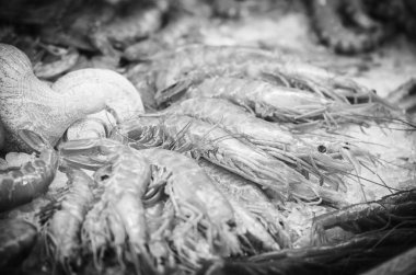 Balık pazarında taze deniz ürünleri - ahtapot, kabuk, istiridye, karides, kalamar, balık 