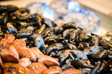 Balık pazarında taze deniz ürünleri - ahtapot, kabuk, istiridye, karides, kalamar, balık 