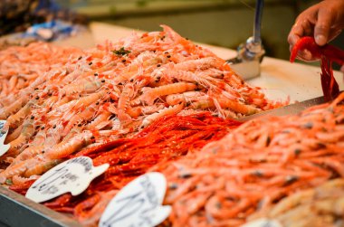 Balık pazarında taze deniz ürünleri - ahtapot, kabuk, istiridye, karides, kalamar, balık 