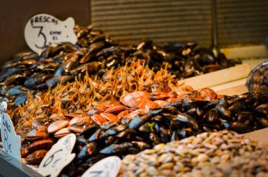 Balık pazarında taze deniz ürünleri - ahtapot, kabuk, istiridye, karides, kalamar, balık 