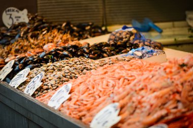 Balık pazarında taze deniz ürünleri - ahtapot, kabuk, istiridye, karides, kalamar, balık 