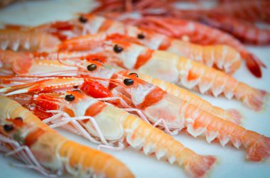 Balık pazarında taze deniz ürünleri - ahtapot, kabuk, istiridye, karides, kalamar, balık 