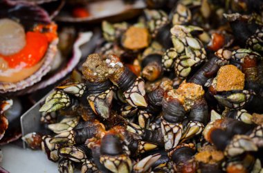 Balık pazarında taze deniz ürünleri - ahtapot, kabuk, istiridye, karides, kalamar, balık 