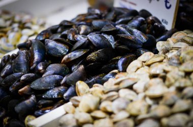 Balık pazarında taze deniz ürünleri - ahtapot, kabuk, istiridye, karides, kalamar, balık 