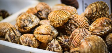 Balık pazarında taze deniz ürünleri - ahtapot, kabuk, istiridye, karides, kalamar, balık 