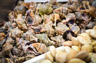 Balık pazarında taze deniz ürünleri - ahtapot, kabuk, istiridye, karides, kalamar, balık 