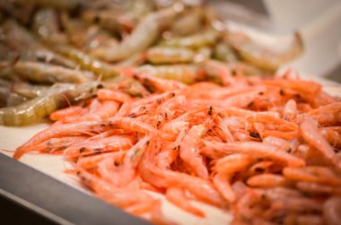 Balık pazarında taze deniz ürünleri - ahtapot, kabuk, istiridye, karides, kalamar, balık 