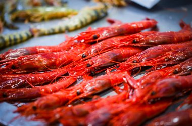 Balık pazarında taze deniz ürünleri - ahtapot, kabuk, istiridye, karides, kalamar, balık 