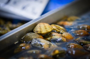 Balık pazarında taze deniz ürünleri - ahtapot, kabuk, istiridye, karides, kalamar, balık 