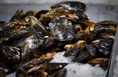 Balık pazarında taze deniz ürünleri - ahtapot, kabuk, istiridye, karides, kalamar, balık 