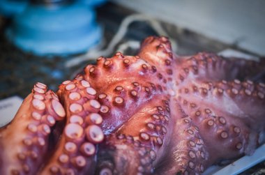 Balık pazarında taze deniz ürünleri - ahtapot, kabuk, istiridye, karides, kalamar, balık 