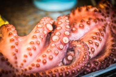 Balık pazarında taze deniz ürünleri - ahtapot, kabuk, istiridye, karides, kalamar, balık 