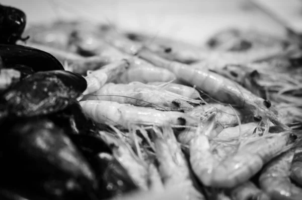 Frische Mischung Von Meeresfrüchten Auf Dem Fischmarkt Kraken Muscheln Austern — Stockfoto