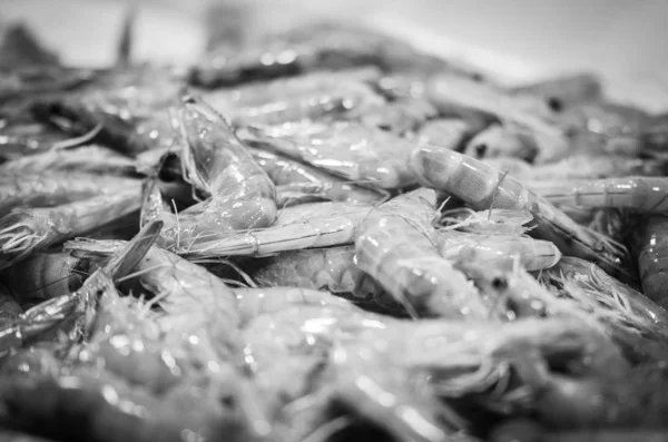 Fresh Mix Seafood Fish Market Octopus Shells Oysters Shrimps Calamari — Stock Photo, Image