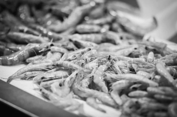 Färsk Mix Skaldjur Fiskmarknaden Bläckfisk Snäckor Ostron Räkor Calamari Fisk — Stockfoto