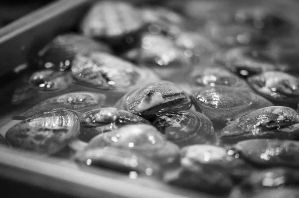 Mezcla Fresca Mariscos Mercado Pescado Pulpo Conchas Ostras Camarones Calamares — Foto de Stock