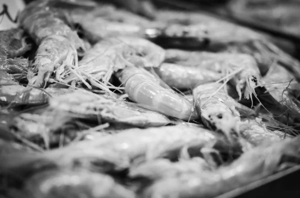 시장에서 해산물 옥토퍼스 물고기 — 스톡 사진