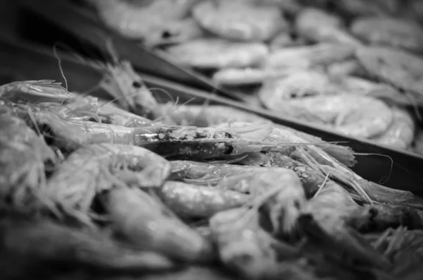 Свежие Морепродукты Рыбном Рынке Осьминог Раковины Устрицы Креветки Кальмары Рыба — стоковое фото
