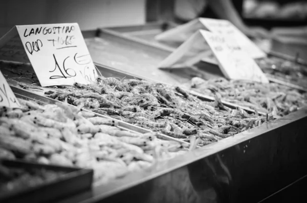 Verse Mix Zeevruchten Vismarkt Octopus Schelpen Oesters Garnalen Calamari Vis — Stockfoto