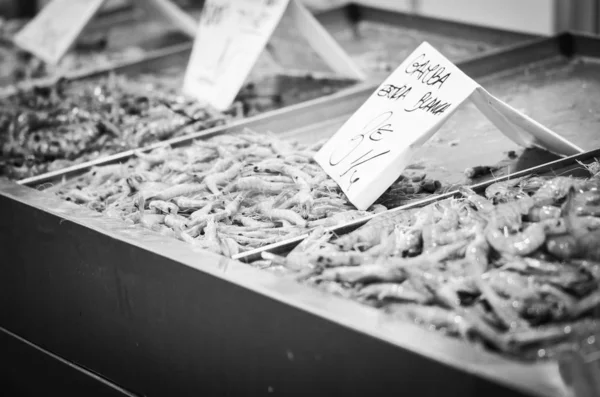 Świeże Mieszanki Owoców Morza Targu Rybnym Ośmiornica Muszle Ostrygi Krewetki — Zdjęcie stockowe