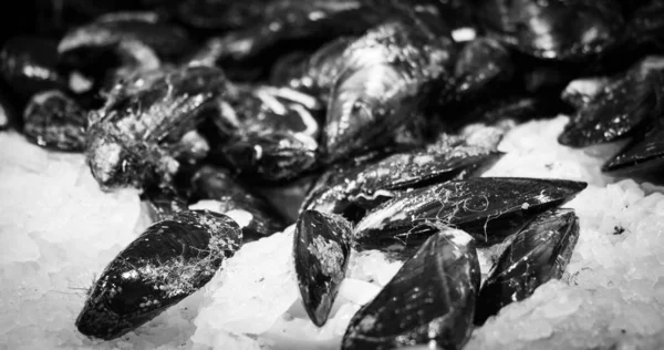 魚市場の新鮮な魚介類 — ストック写真