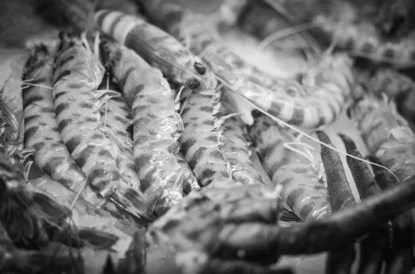 Свежие Морепродукты Рыбном Рынке Осьминог Раковины Устрицы Креветки Кальмары Рыба — стоковое фото