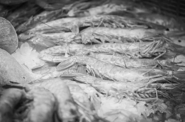 Campur Segar Makanan Laut Dalam Pasar Ikan Gurita Kerang Tiram — Stok Foto