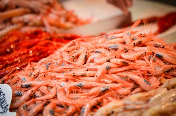 อาหารทะเลผสมสดในตลาดปลา ปลาหม เปล หอยนางรม คาลามาร ปลา — ภาพถ่ายสต็อก