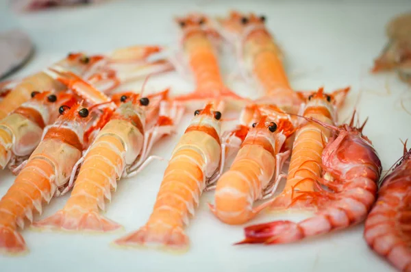 อาหารทะเลผสมสดในตลาดปลา ปลาหม เปล หอยนางรม คาลามาร ปลา — ภาพถ่ายสต็อก