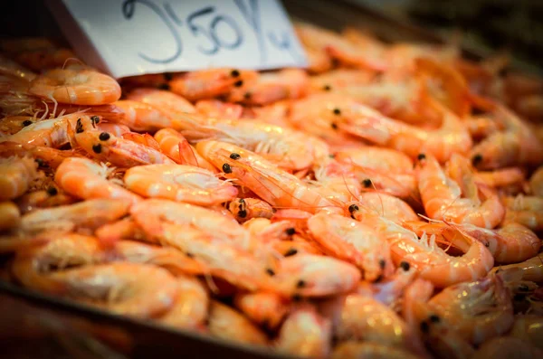 fresh mix seafood within the fish market - octopus, shells, oysters, shrimps, calamari, fish