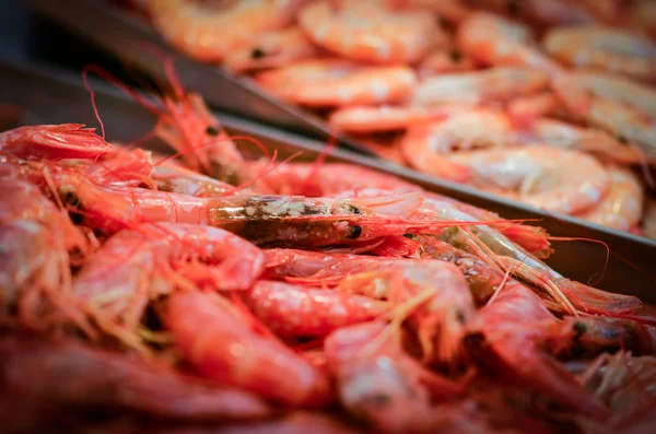 Fruits Mer Frais Mélangés Dans Marché Aux Poissons Poulpe Coquillages — Photo