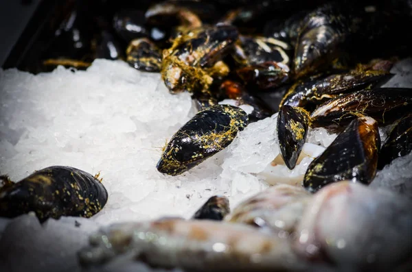 Fruits Mer Frais Mélangés Dans Marché Aux Poissons Poulpe Coquillages — Photo