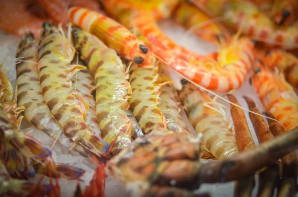 Mezcla Fresca Mariscos Mercado Pescado Pulpo Conchas Ostras Camarones Calamares — Foto de Stock