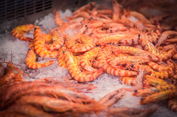 fresh mix seafood within the fish market - octopus, shells, oysters, shrimps, calamari, fish