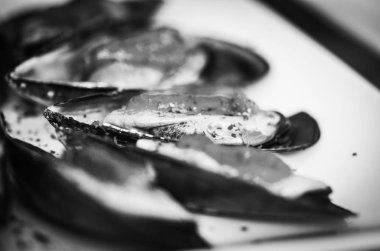 limon suyu ve taze baharatlı marine edilmiş kabuklar.