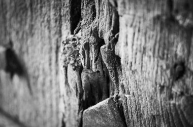 old doors close up view - knobs, design elements, architecture of the ancient doors within the streets of the spanish cities