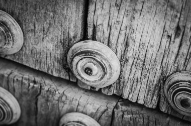 old doors close up view - knobs, design elements, architecture of the ancient doors within the streets of the spanish cities