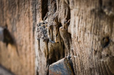 old doors close up view - knobs, design elements, architecture of the ancient doors within the streets of the spanish cities