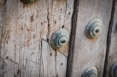 old doors close up view - knobs, design elements, architecture of the ancient doors within the streets of the spanish cities