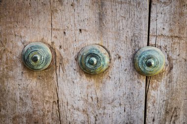 old doors close up view - knobs, design elements, architecture of the ancient doors within the streets of the spanish cities